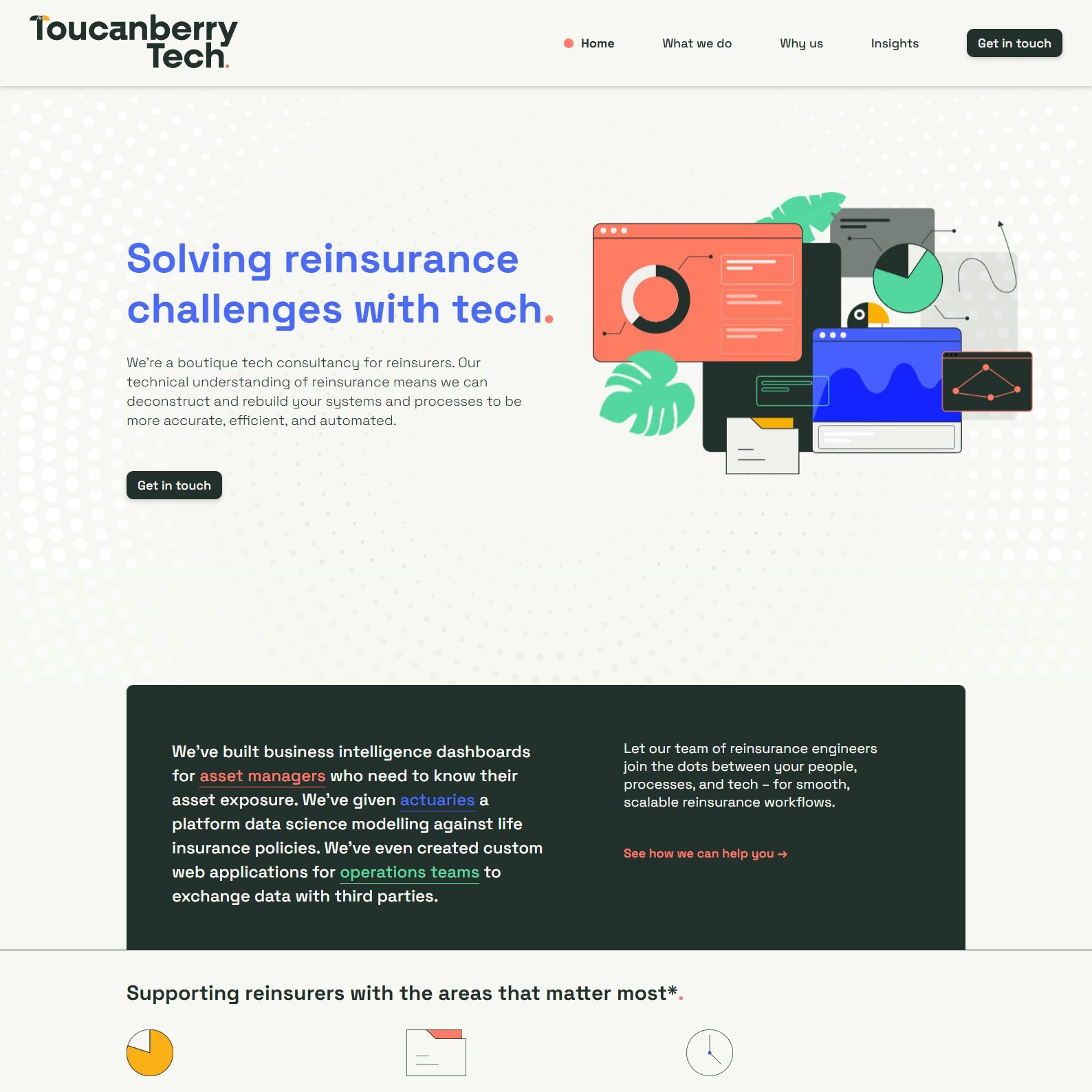 A screenshot of the home page of the Toucanberry Tech website.
